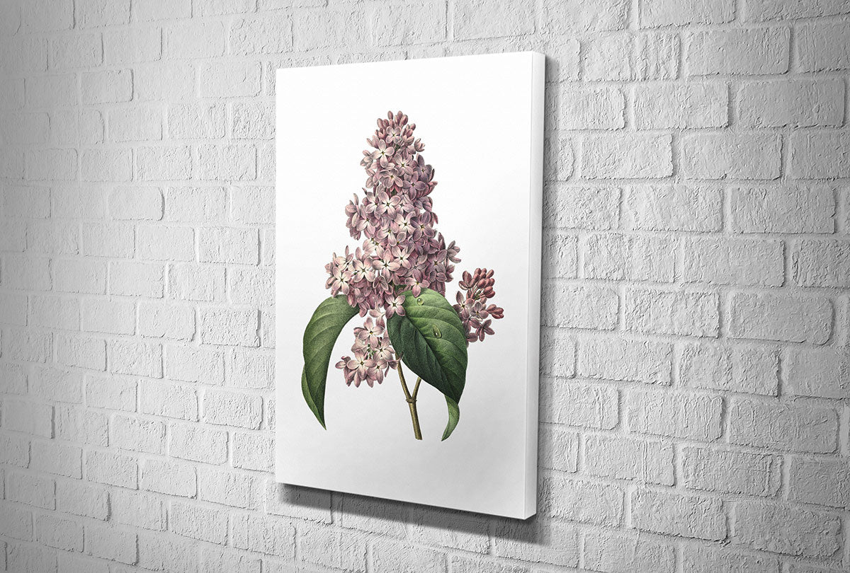 4111 hd canvas portrait