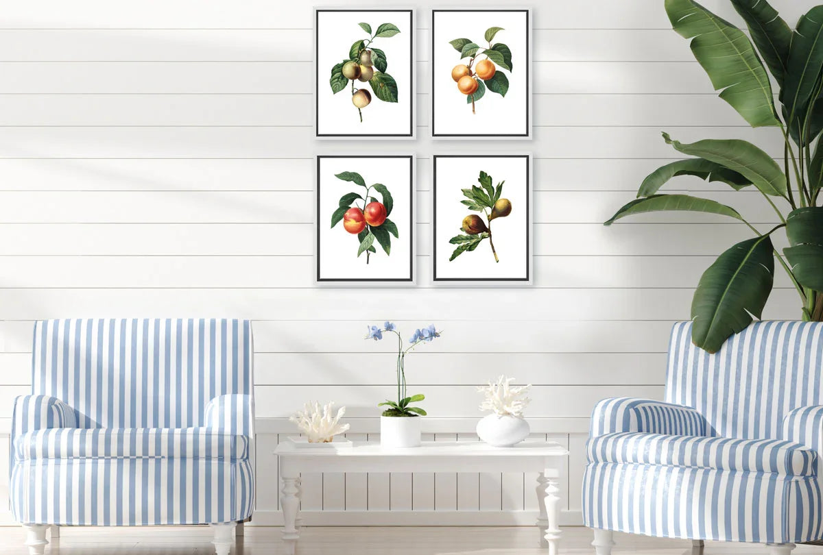 Botanical Illustration Fig | Botanical Wall Art Print - Final Touch Decor