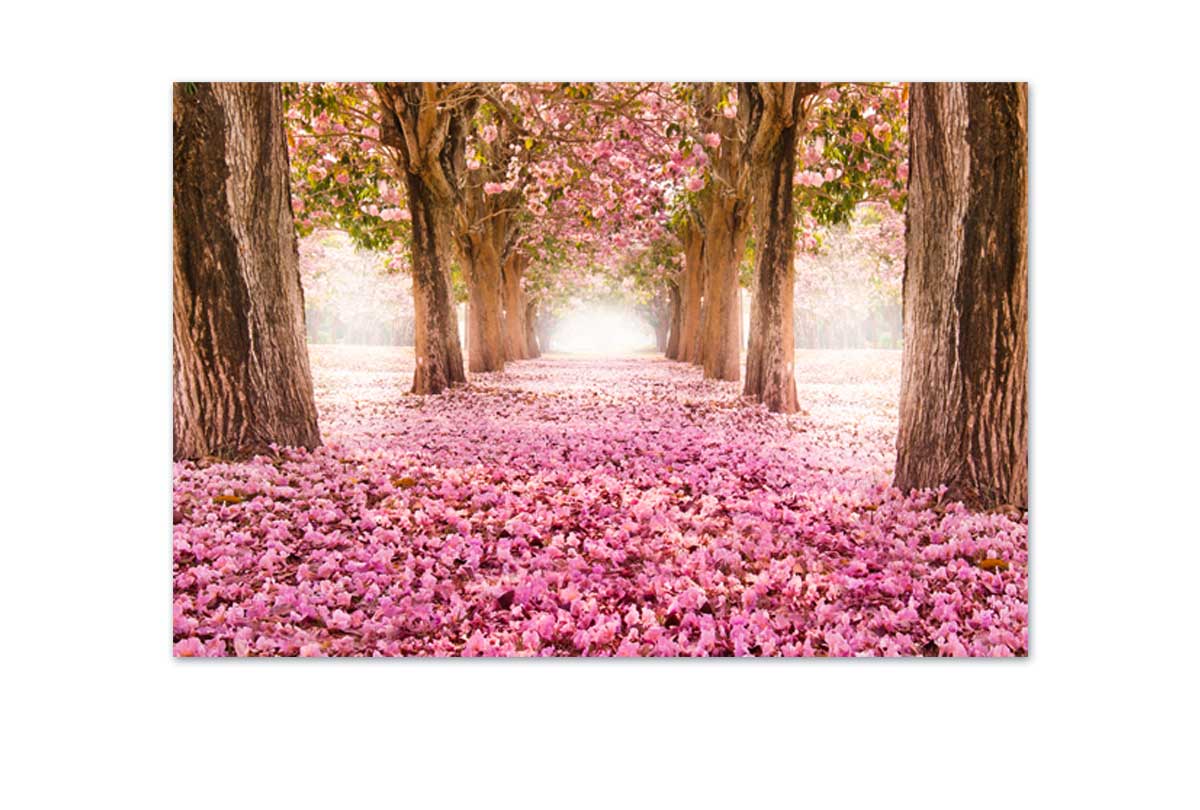Pink Petals | Landscape Canvas Wall Art Print - Final Touch Decor