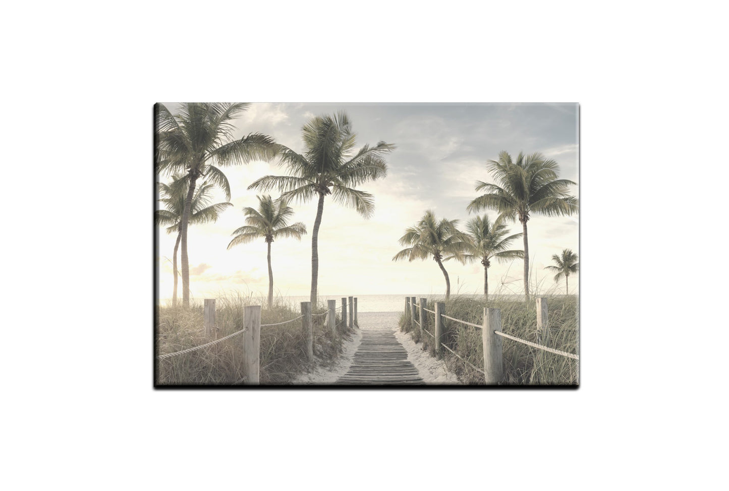 Beach Palm Boardwalk | Wall Art Print - Final Touch Decor