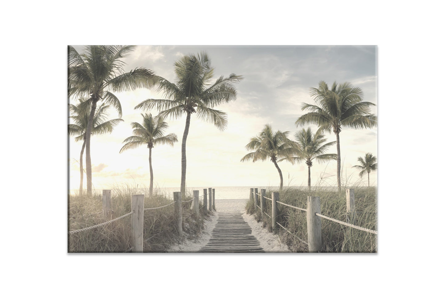 Beach Palm Boardwalk | Wall Art Print - Final Touch Decor