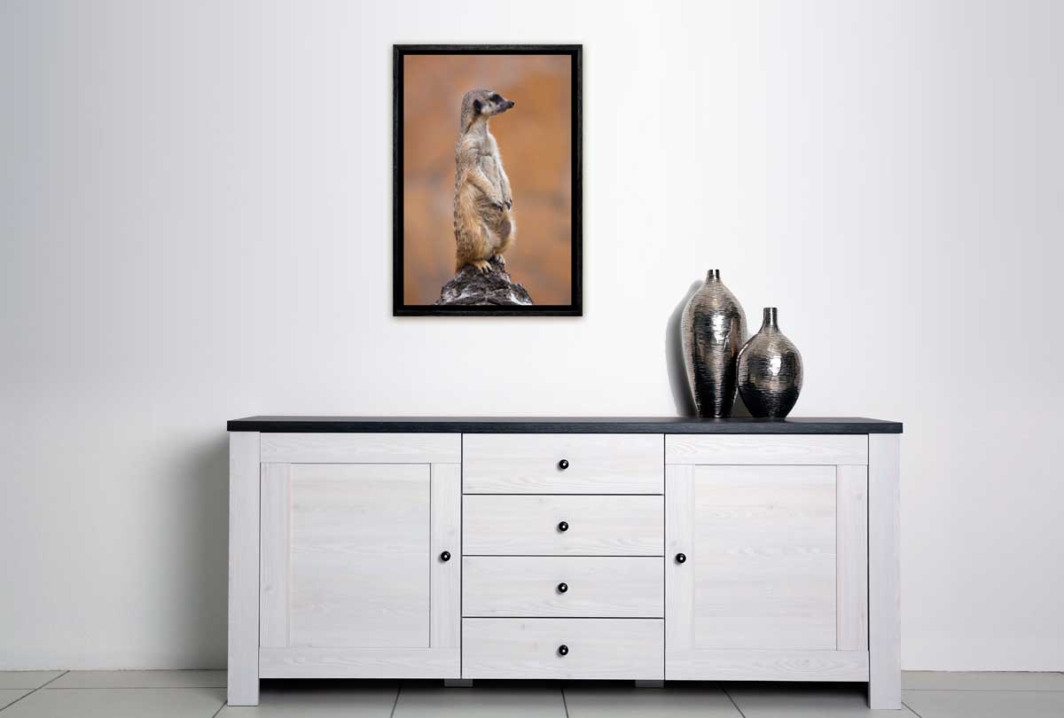 Meerkat | Canvas Wall Art Print - Final Touch Decor