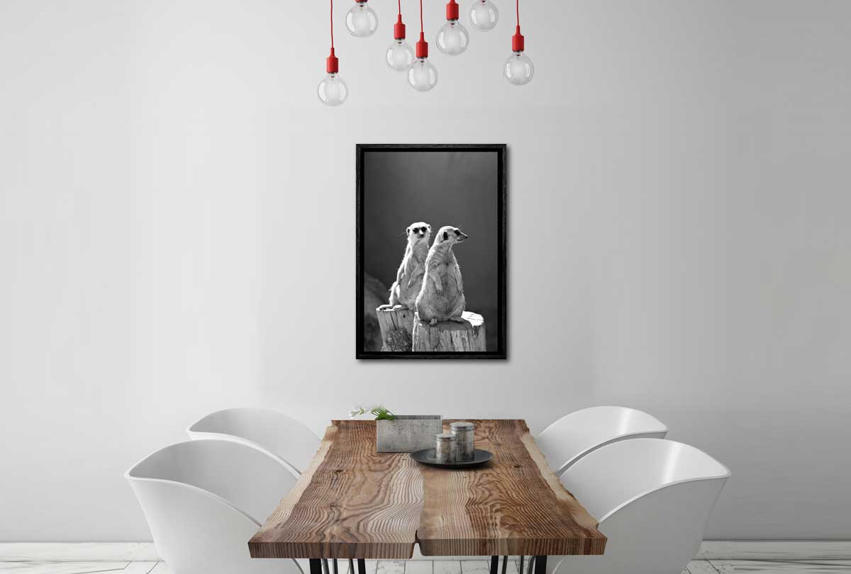 Meerkats Black and White | Canvas Wall Art Print - Final Touch Decor