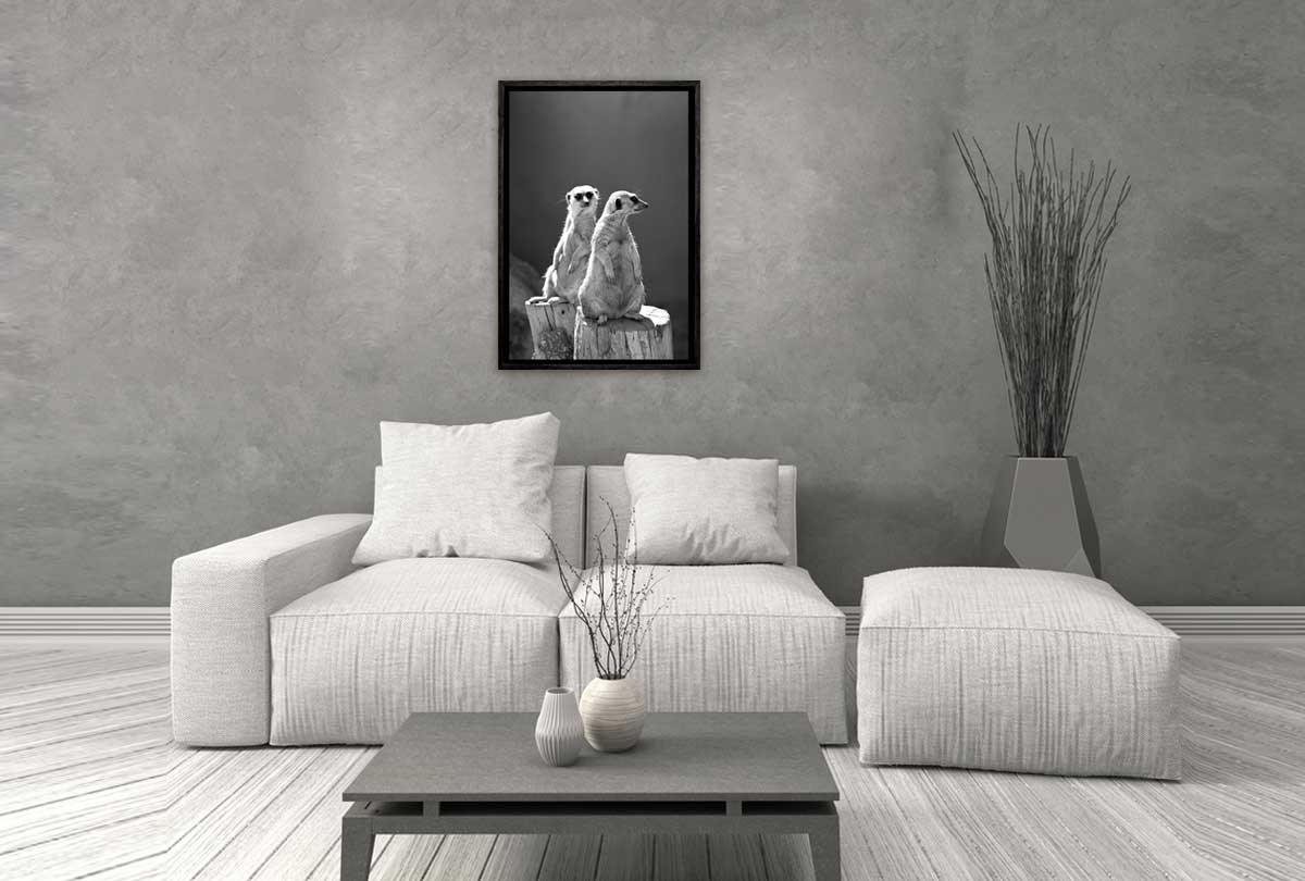 Meerkats Black and White | Canvas Wall Art Print - Final Touch Decor