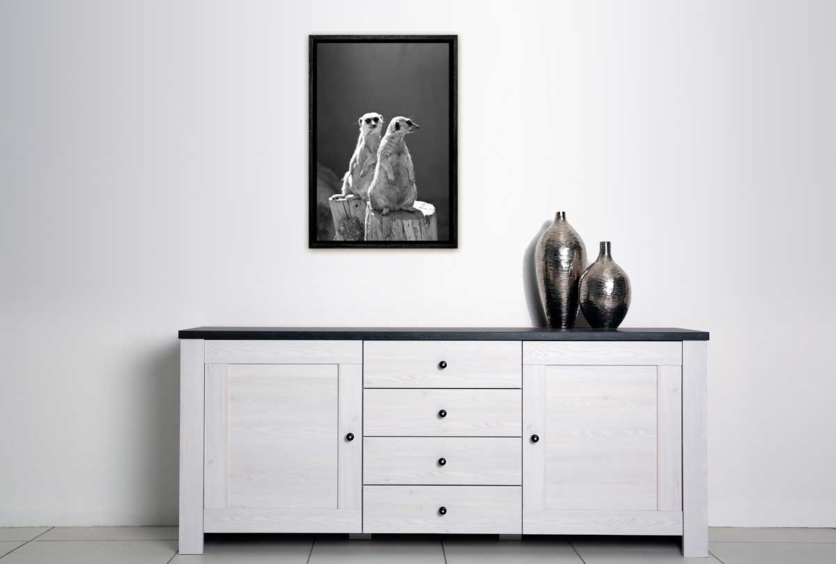 Meerkats Black and White | Canvas Wall Art Print - Final Touch Decor