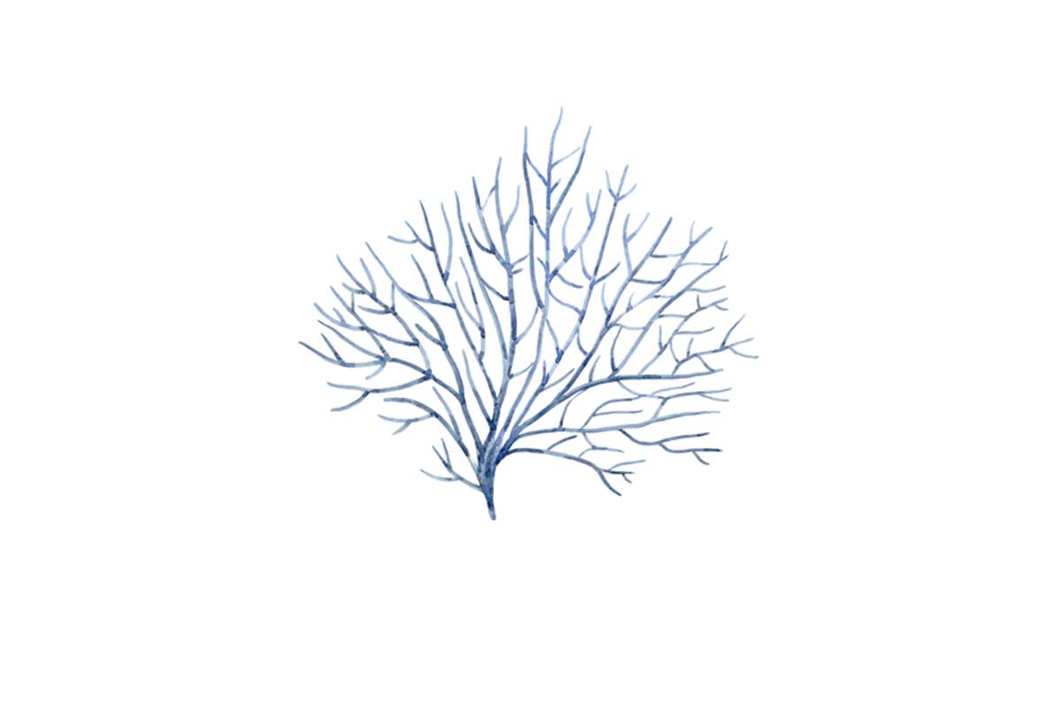 Blue Coral | Ocean Wall Art Print - Final Touch Decor