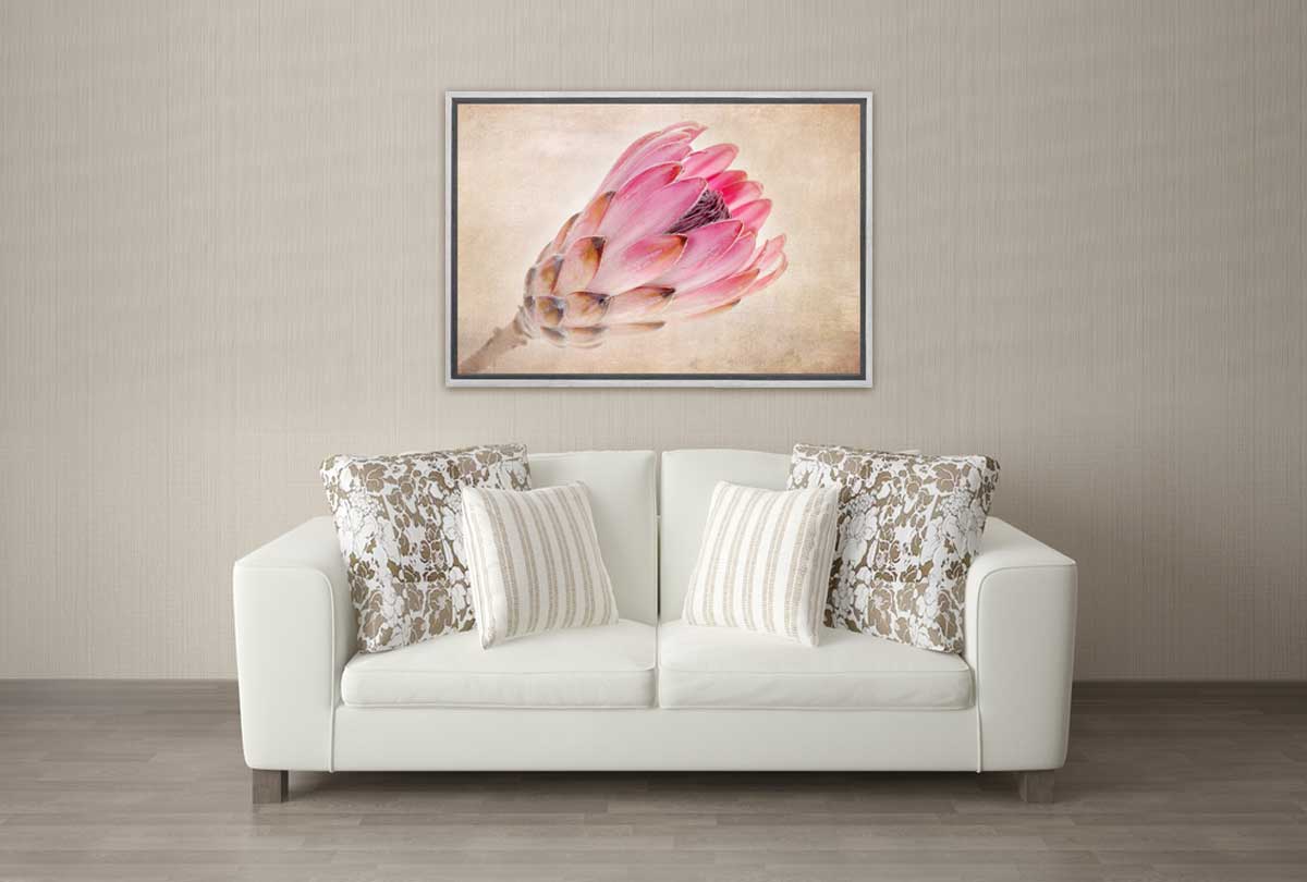 Pink Protea | Wall Art Print - Final Touch Decor
