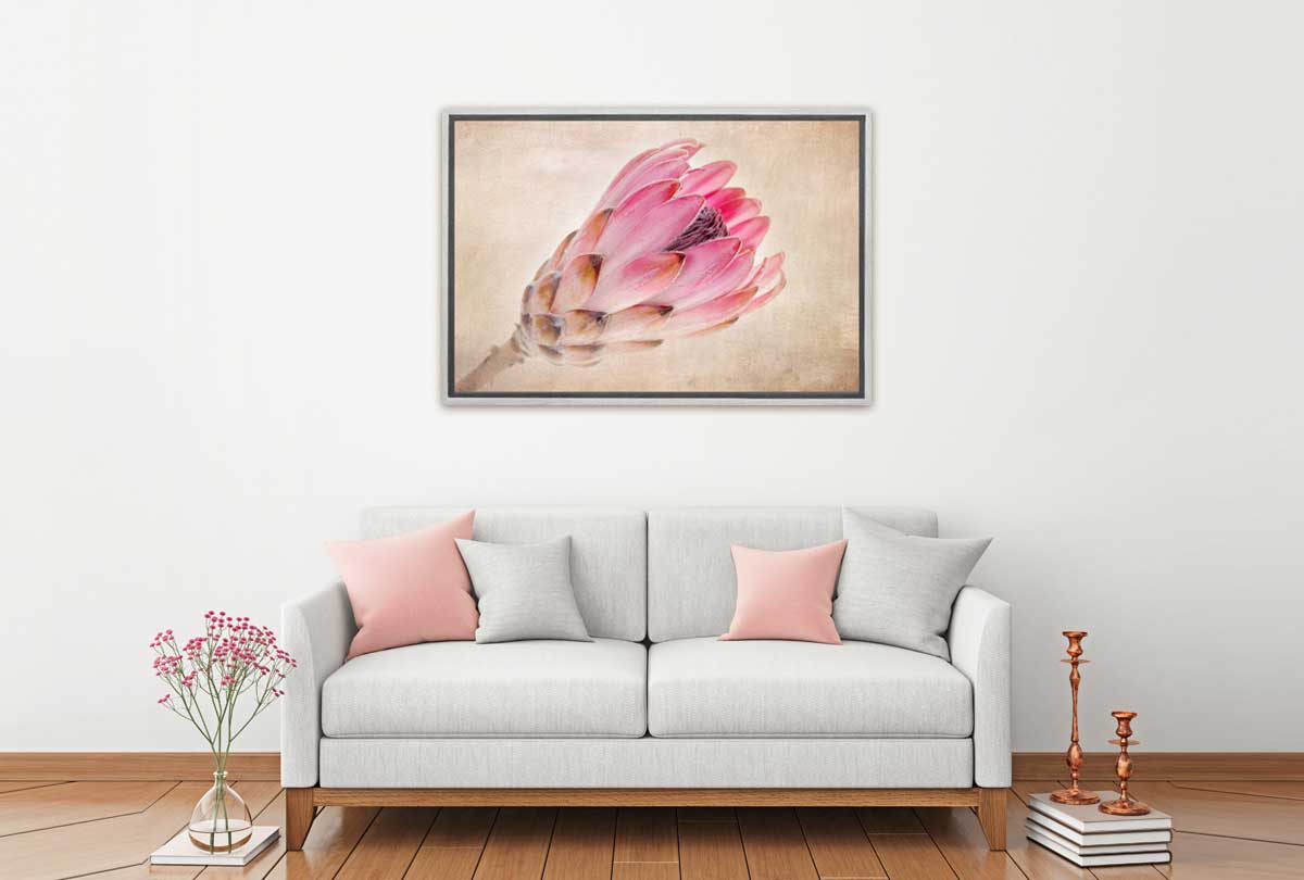 Pink Protea | Wall Art Print - Final Touch Decor