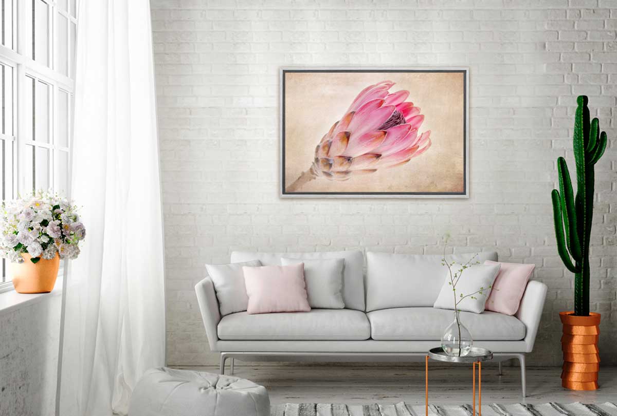 Pink Protea | Wall Art Print - Final Touch Decor