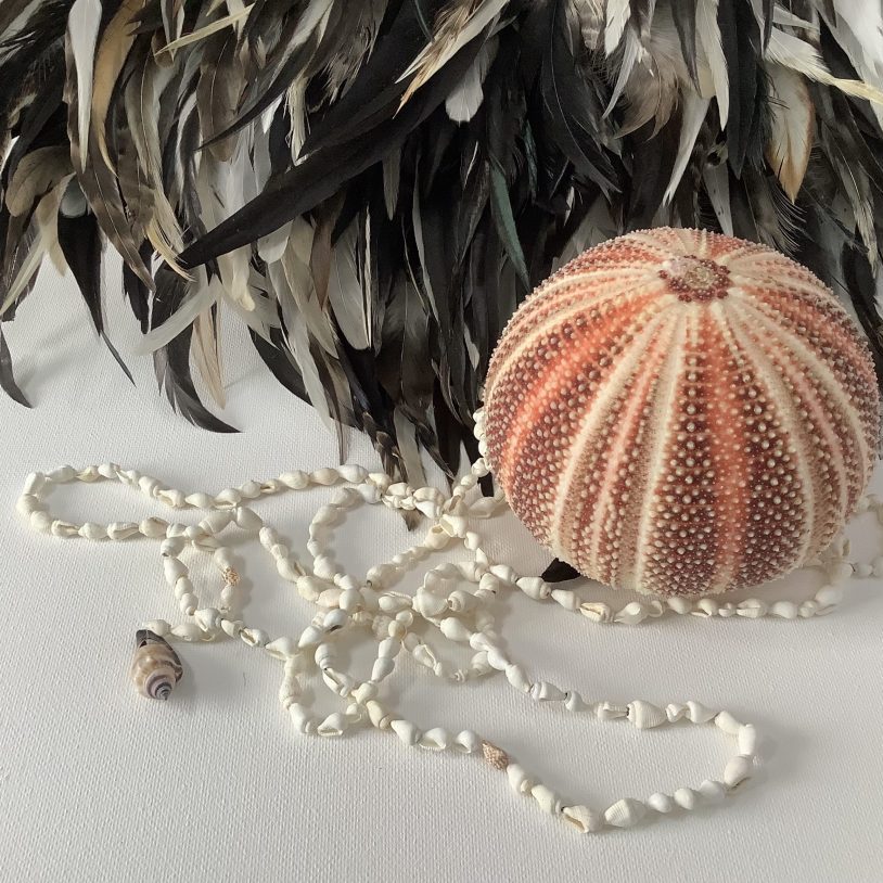 Shell Strand - Final Touch Decor