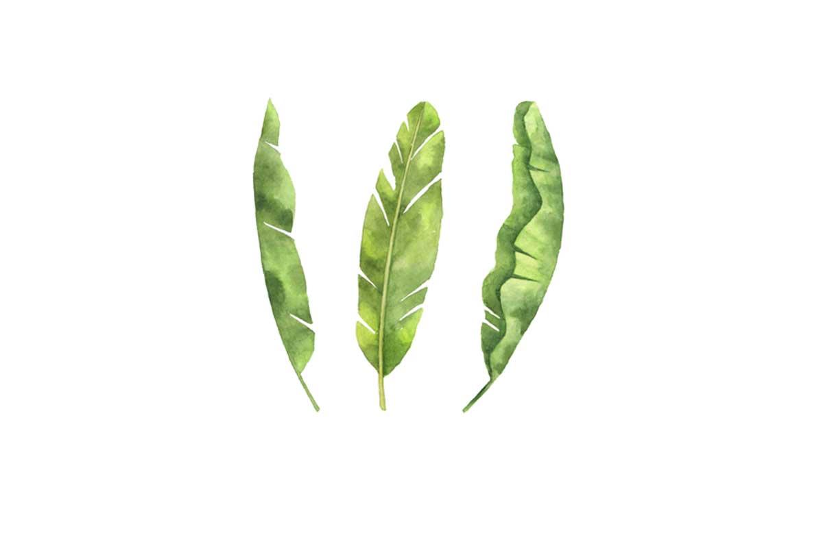 Banana Leaves | Tropical Leaf Wall Art - Final Touch Decor
