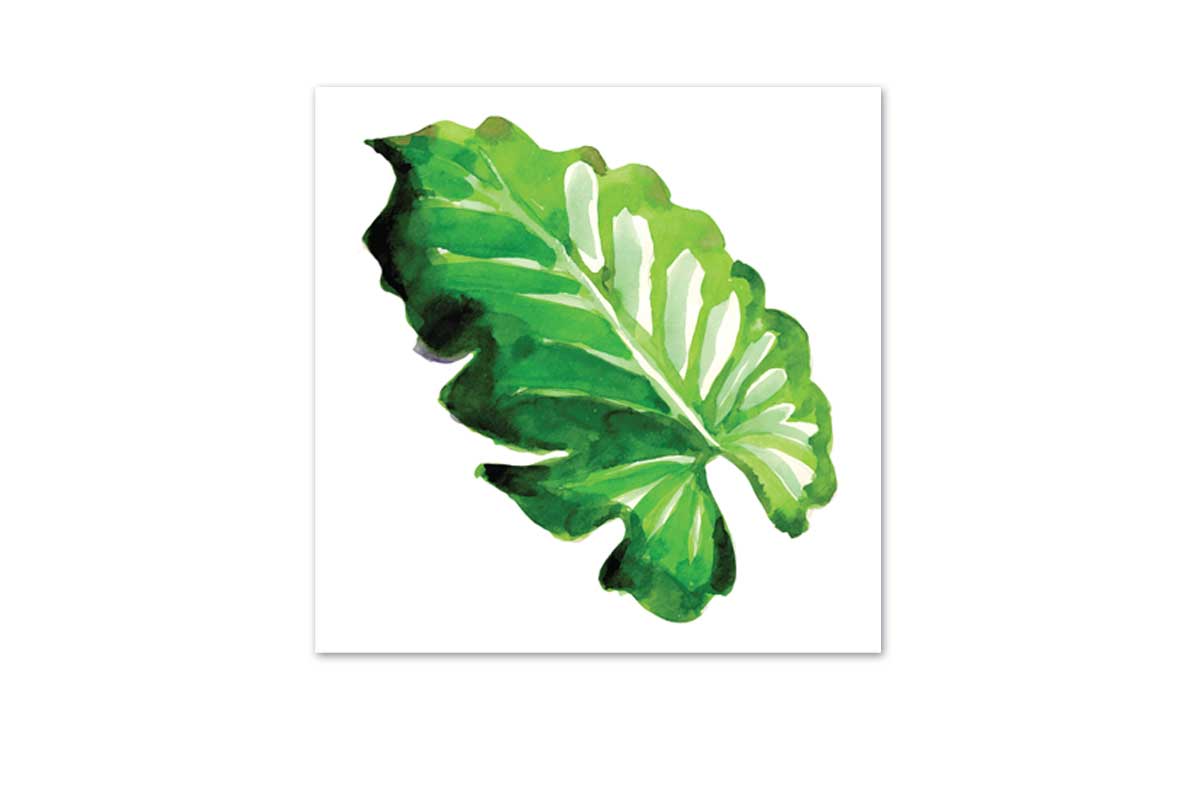 Tropical Leaf | Wall Art Print - Final Touch Decor