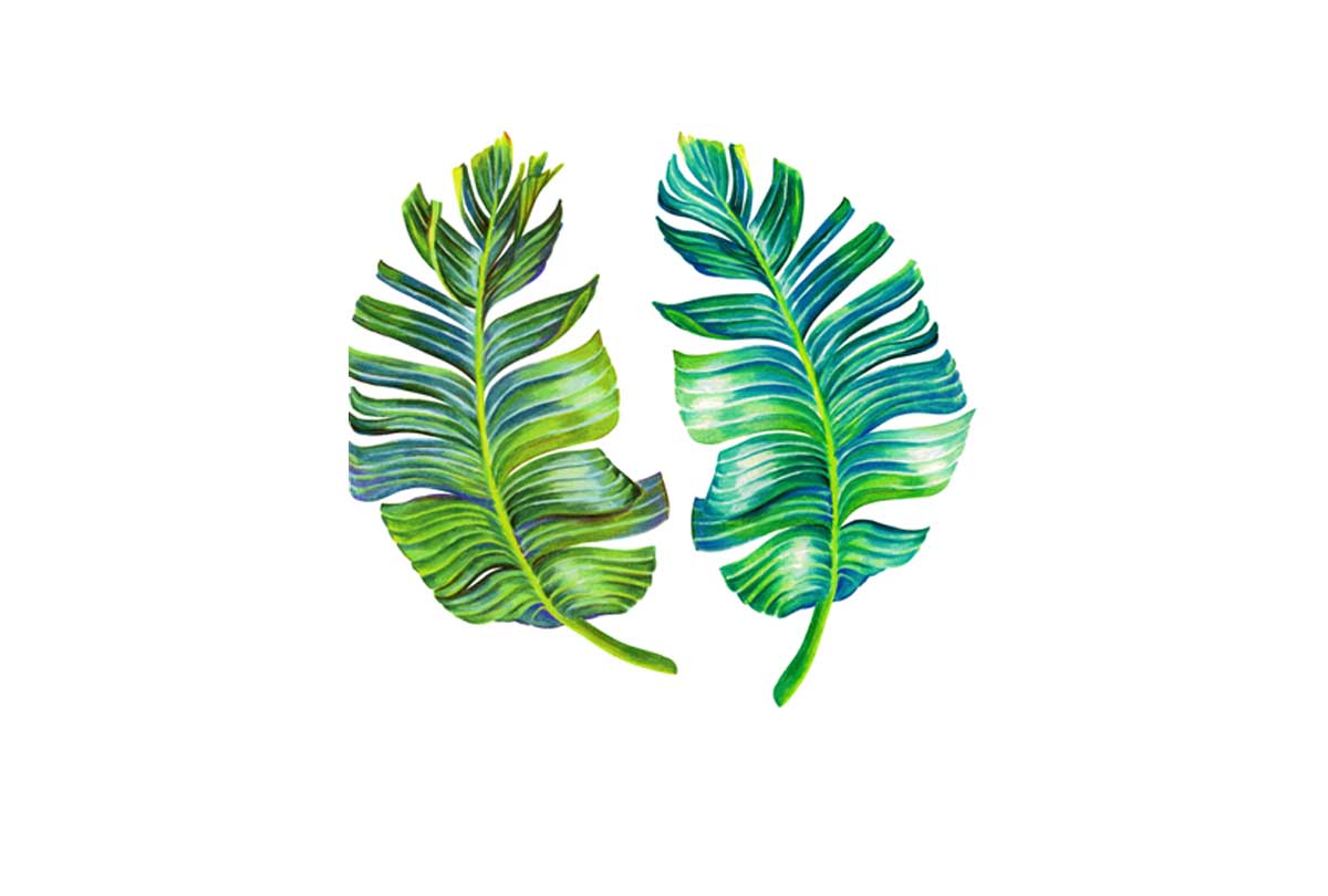 Tropical Leaves 2 | Wall Art Print - Final Touch Decor