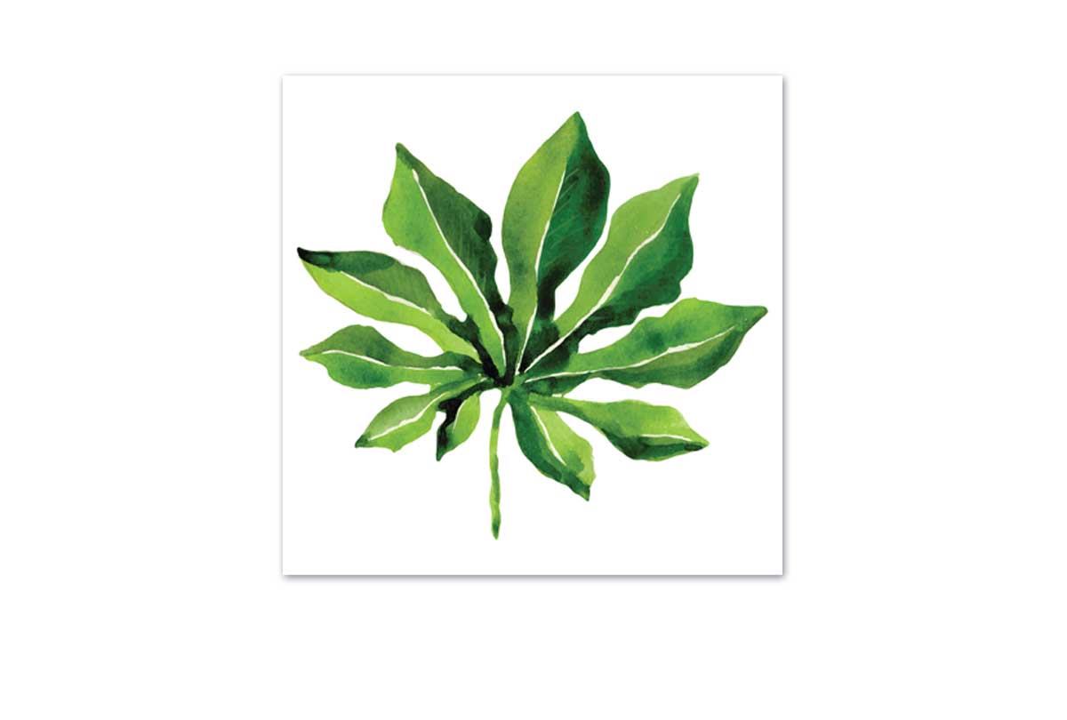 Tropical Leaf 2 | Canvas Wall Art Print - Final Touch Decor