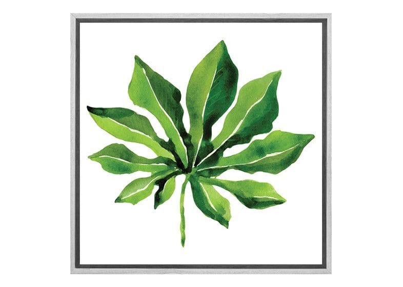 Tropical Leaf 2 | Canvas Wall Art Print - Final Touch Decor