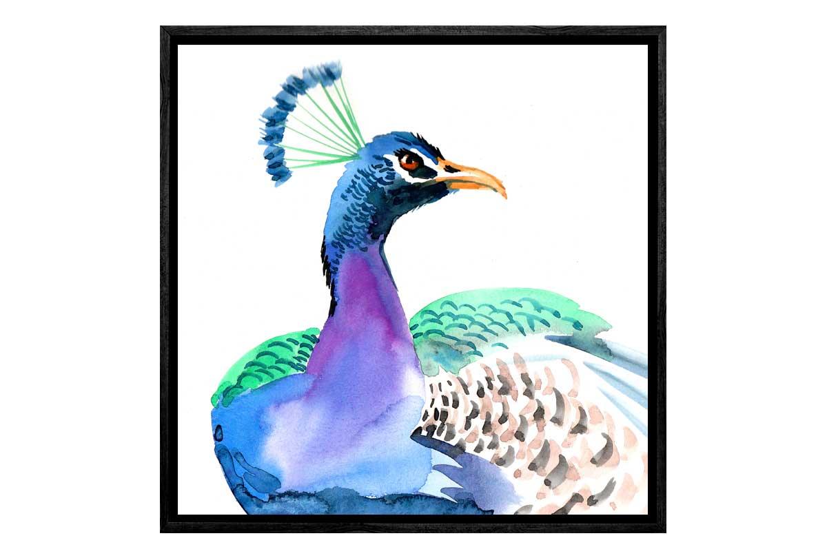 Watercolour Peacock | Bird Wall Art Print - Final Touch Decor