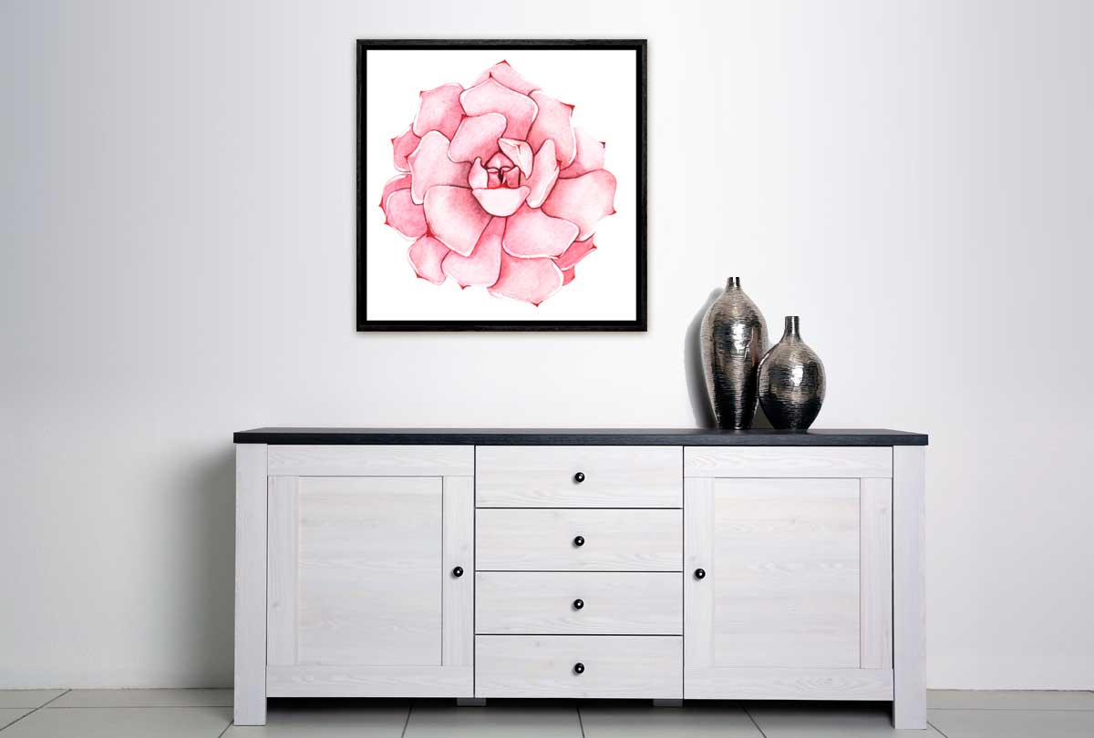 Pink Succulent Watercolour | Canvas Wall Art Print - Final Touch Decor