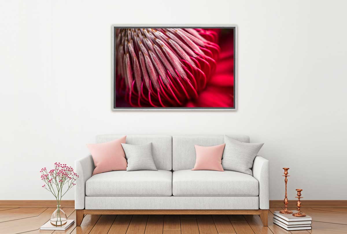 Red Protea Macro | Canvas Wall Art Print - Final Touch Decor