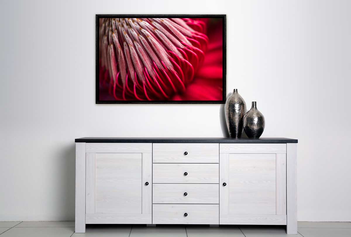 Red Protea Macro | Canvas Wall Art Print - Final Touch Decor
