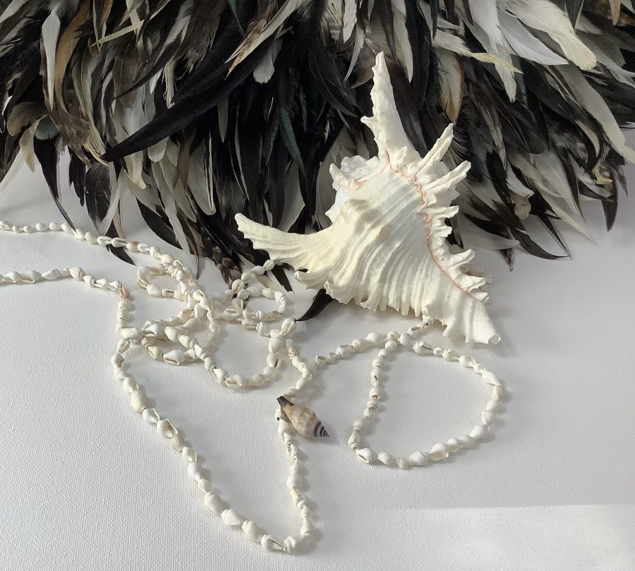 Shell Strand - Final Touch Decor