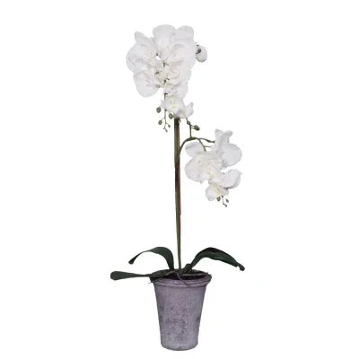 Single Stem White Orchid 69cm - Final Touch Decor