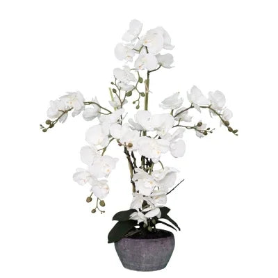 Large White Orchid 76cm - Final Touch Decor