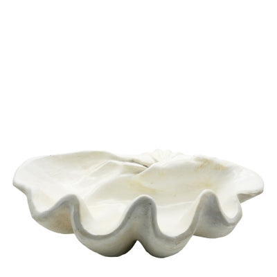 White Clam Shell Lge 50cm - Final Touch Decor