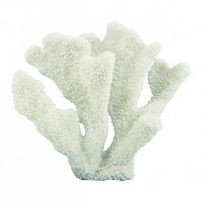 Horn Coral 15cm - Final Touch Decor