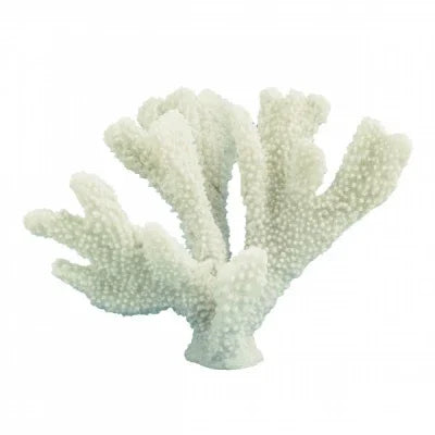 Horn Coral 23cm - Final Touch Decor