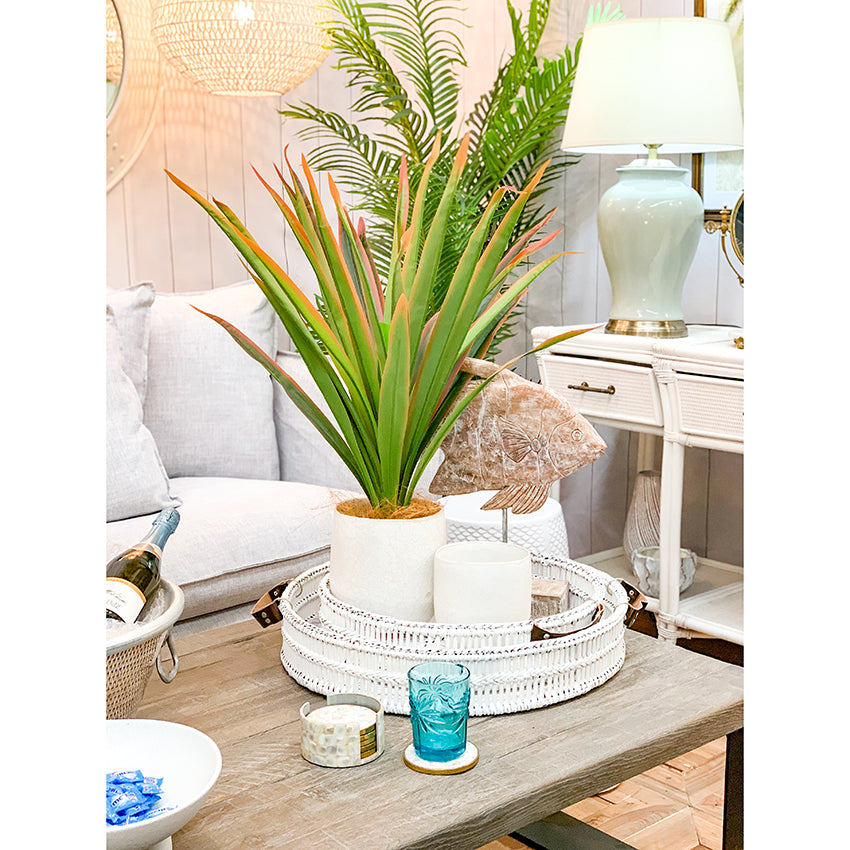 Angel Fish Decor - Final Touch Decor