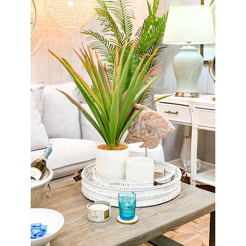 Angel Fish Decor - Final Touch Decor