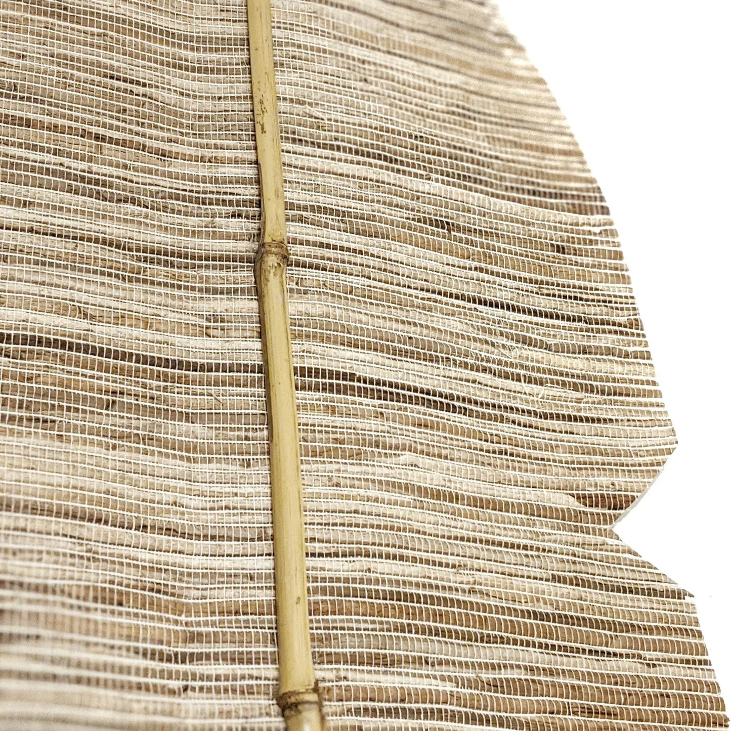 Boho Palm Leaf Decor - Final Touch Decor