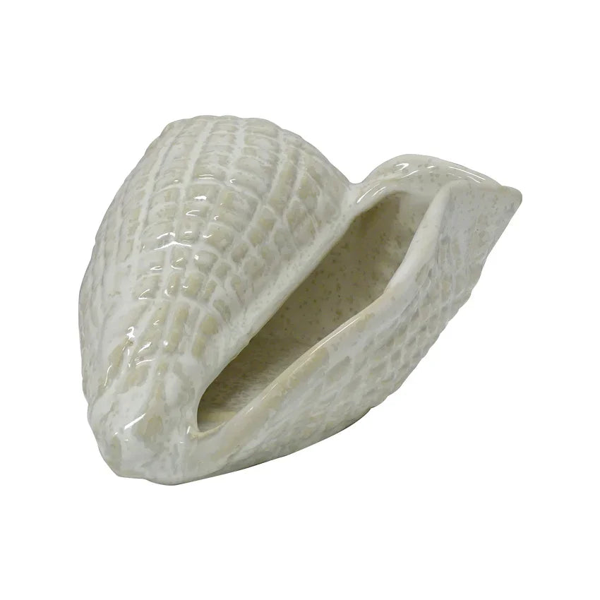 Shell Decor Cowrie White - Final Touch Decor