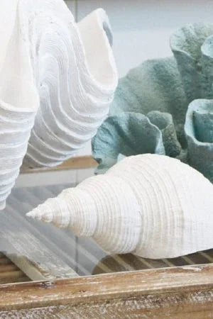 Spiral Shell - Final Touch Decor