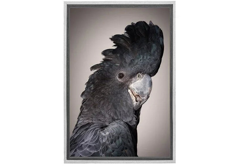 Black Cockatoo | Canvas Wall Art Print - Final Touch Decor