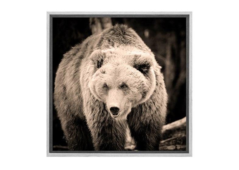 European Brown Bear | Canvas Wall Art Print - Final Touch Decor