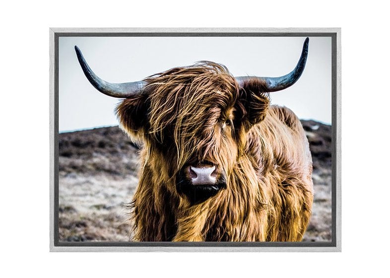 Highland Cow | Canvas Wall Art Print - Final Touch Decor