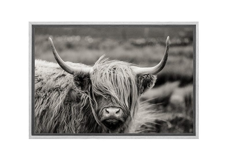 Highland Cow Monochrome | Canvas Wall Art Print - Final Touch Decor
