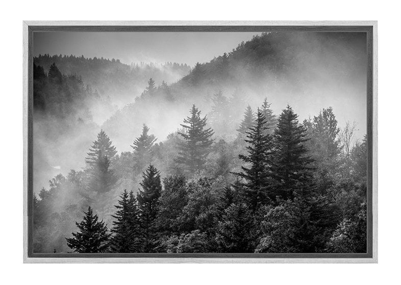 Misty Pine Forest | Canvas Wall Art Print - Final Touch Decor