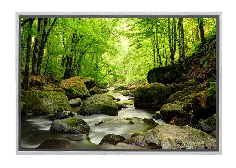Tranquil Forest Creek | Canvas Wall Art Print - Final Touch Decor