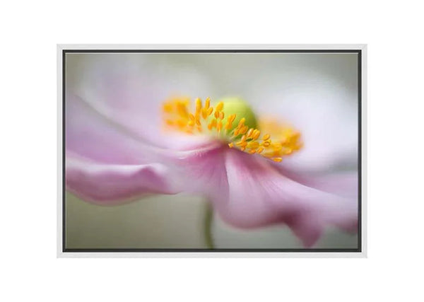 Dreamy Pink Bloom | Flower Wall Art Print | Final Touch Decor