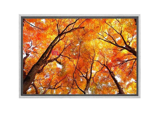 Autumn Trees from Below | Canvas Wall Art Print - Final Touch Decor