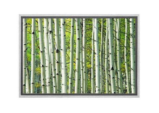 Aspen Forest | Canvas Wall Art Print - Final Touch Decor