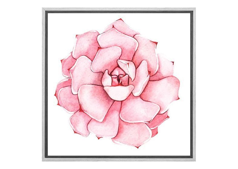 Pink Succulent Watercolour | Canvas Wall Art Print - Final Touch Decor