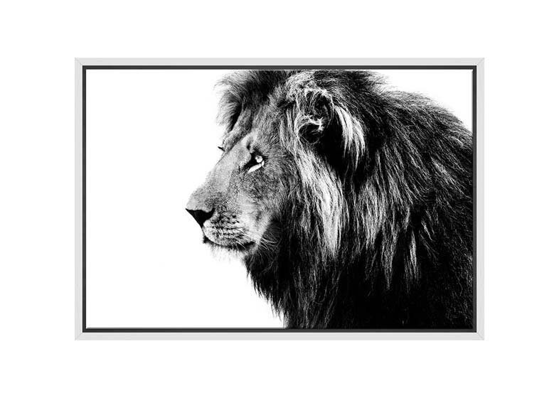 Lion Portrait | Canvas Wall Art Print - Final Touch Decor