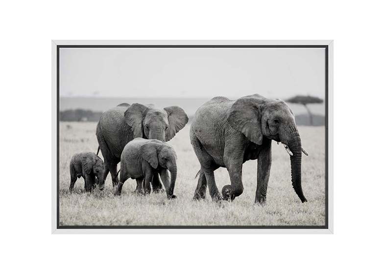 Elephant Family | Canvas Wall Art Print - Final Touch Decor