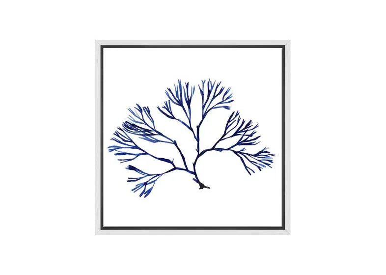 Blue Seaweed 2 | Hamptons Canvas Wall Art Print - Final Touch Decor