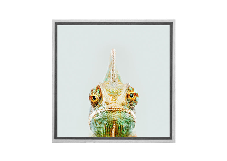 Cute Chameleon | Canvas Wall Art Print - Final Touch Decor