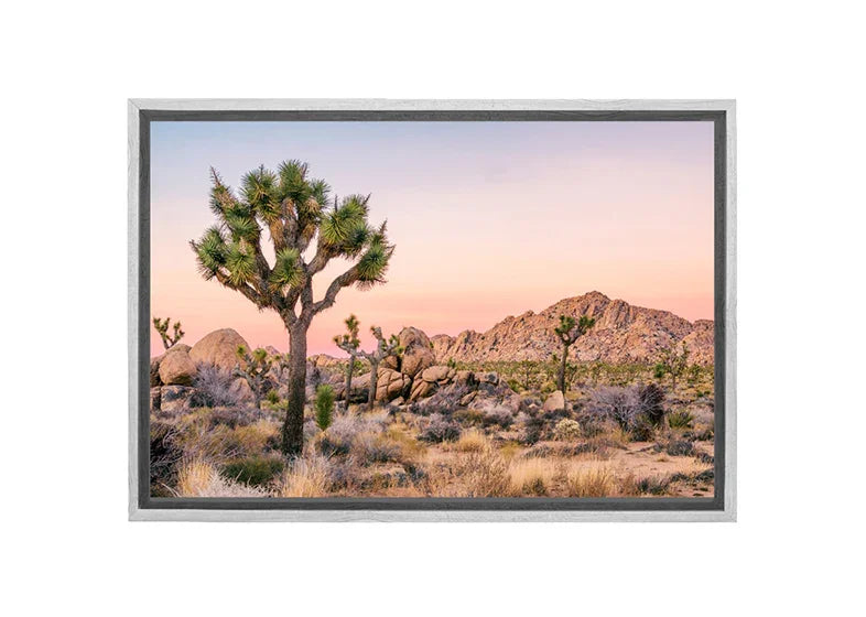 Desert Joshua Trees | Canvas Wall Art Print - Final Touch Decor