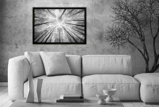 40+ Wall Art Ideas for Black and White Decor